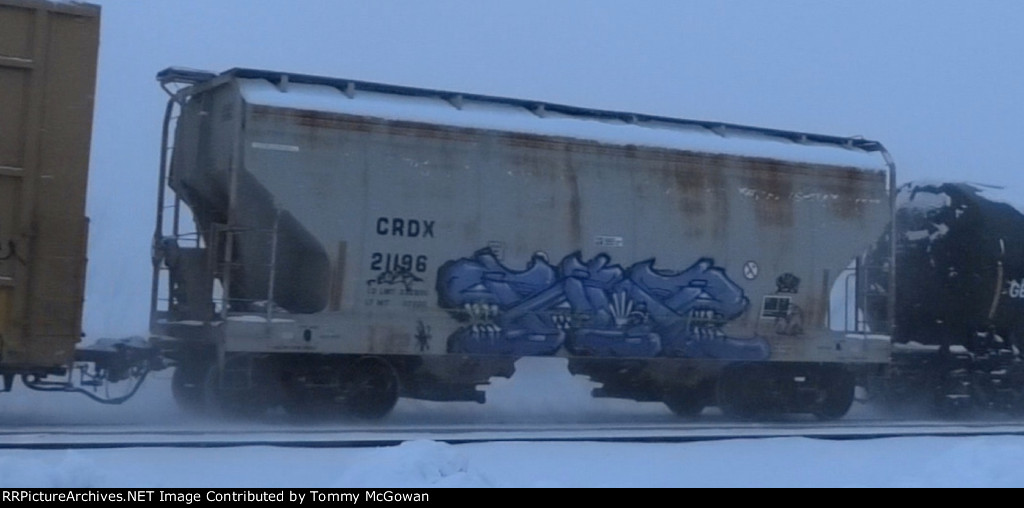 CRDX 21196
